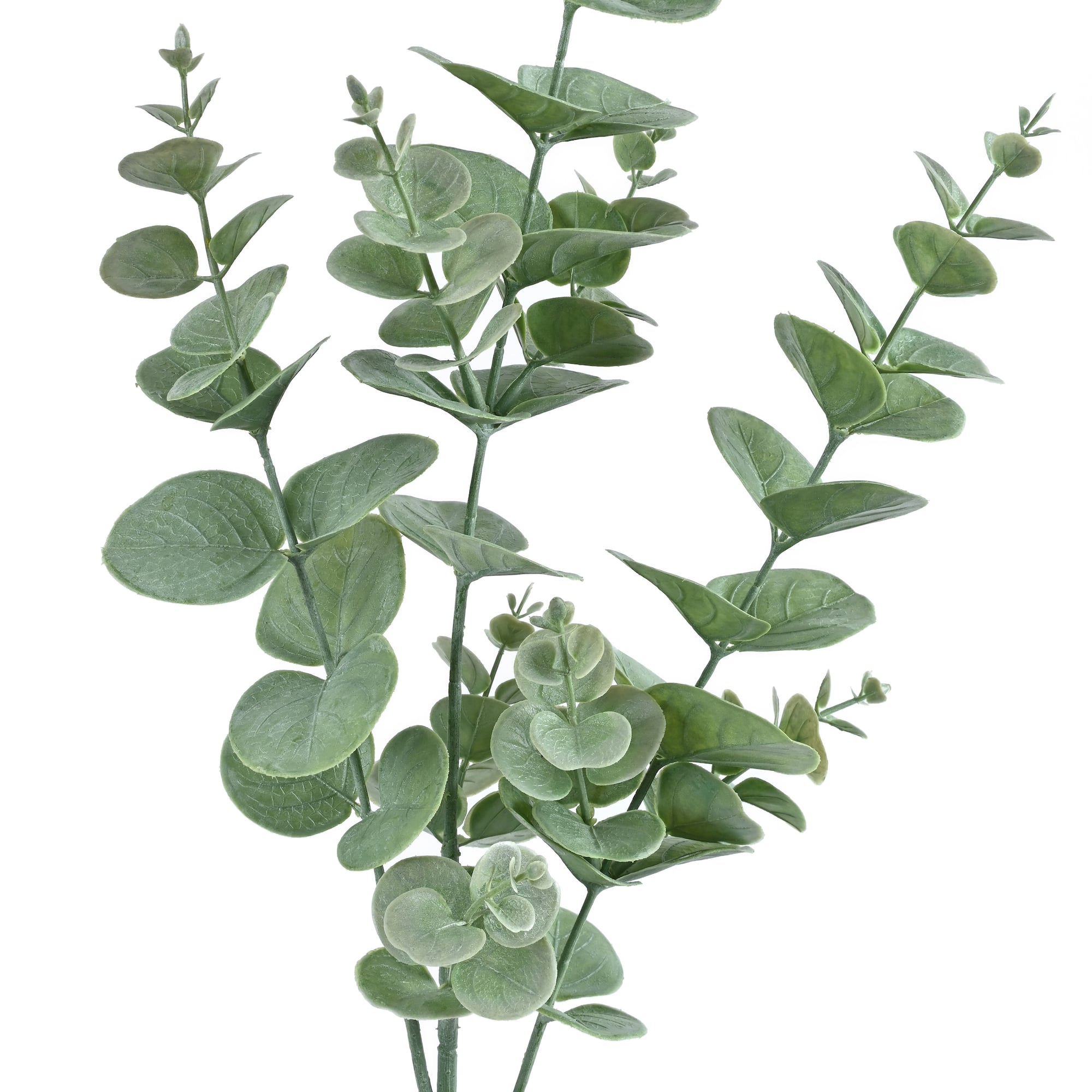 32" Light Green Eucalyptus Stem by Ashland®
